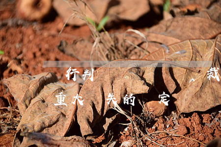 執行判決、裁定濫用職權罪“特別重大損失”的認定